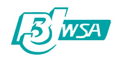 Graphic BJWSA logo